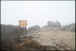 IMG_9765
