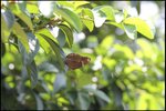 IMG_0319