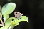 IMG_0327