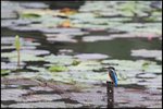 IMG_0537