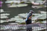 IMG_0585