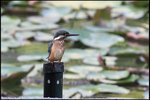 IMG_0587