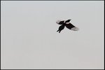 IMG_1255