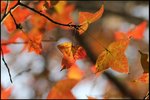 IMG_1559