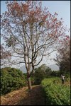 IMG_1801