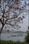 IMG_1803