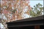 IMG_1806