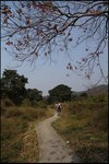 IMG_1825
