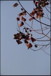 IMG_1827