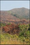 IMG_1834