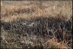 IMG_1835