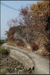 IMG_1838