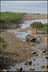 IMG_1840