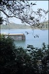 IMG_1854