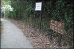 IMG_1856