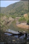 IMG_1868