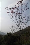 IMG_1922