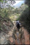 IMG_1931