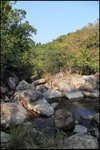 IMG_1932