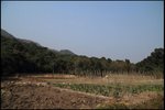 IMG_1938
