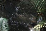 IMG_1940