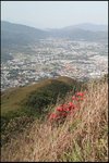 IMG_2662