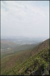 IMG_2698
