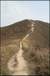 IMG_2712