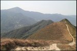 IMG_2718