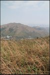 IMG_2727