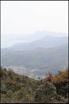 IMG_2730
