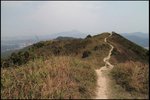 IMG_2739