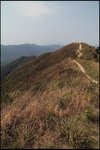 IMG_2747