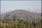 IMG_2753