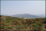IMG_2796