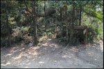 IMG_2800