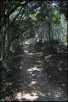 IMG_2802