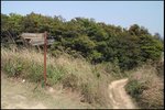IMG_2807