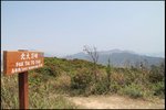 IMG_2811