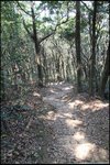 IMG_2825