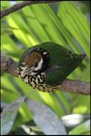 IMG_2911