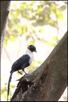 IMG_2920