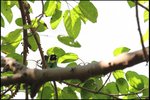 IMG_2954