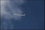 IMG_3367