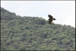 IMG_3377