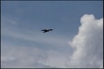 IMG_3384
