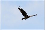 IMG_3388