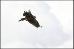 IMG_3390