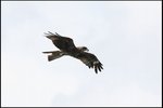 IMG_3397
