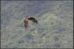 IMG_3402